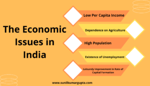 The Economic Issues in India